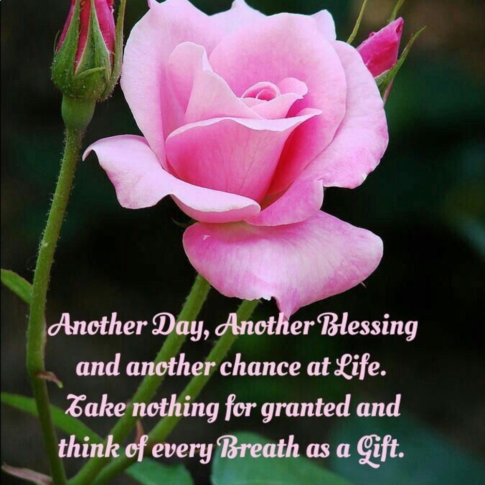 Meet your Posher, Denise